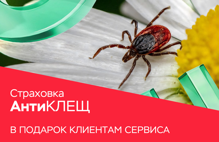Акция «АНТИКЛЕЩ»
